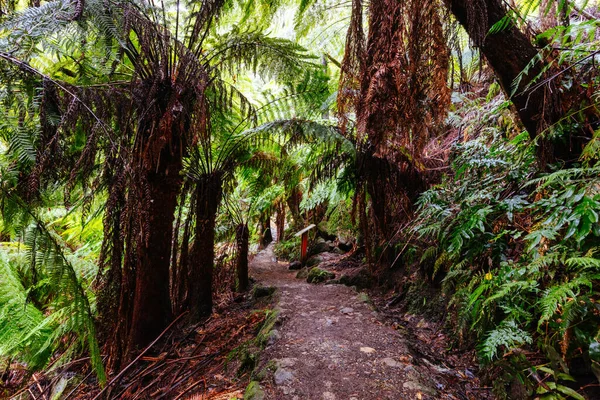 Warburton Avustralya 'da La Şelale