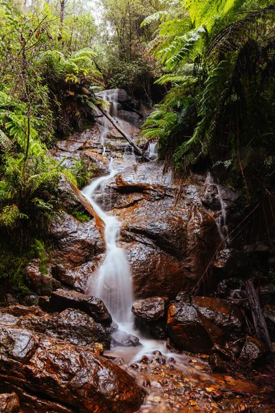 La La Falls i Warburton Australien — Stockfoto