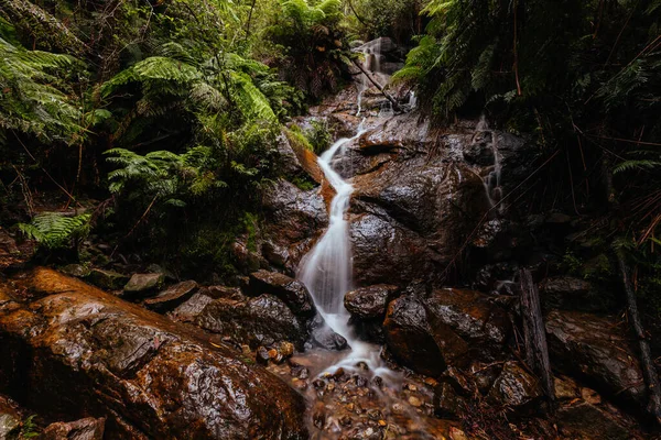 La La Falls a Warburton in Australia — Foto Stock