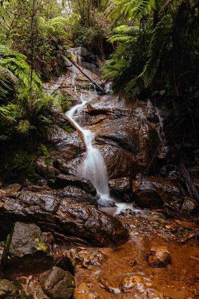 La La Falls en Warburton Australia —  Fotos de Stock