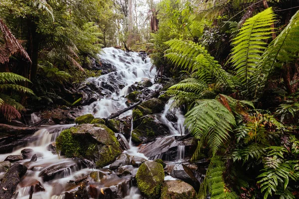 Cora Lynn Falls στο Marysville Αυστραλία — Φωτογραφία Αρχείου