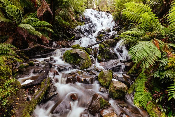 Cora Lynn Falls Marysville Avustralya 'da