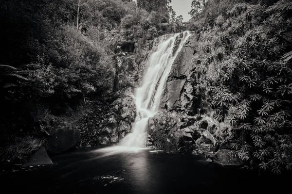 Steavenson Falls em Marysville Austrália — Fotografia de Stock