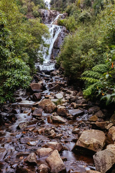 Водоспад Ставенсон у Мерісвіллі (Австралія). — стокове фото