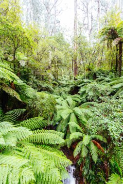 Don Rd Drive in Victoria Australia