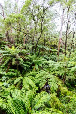 Don Rd Drive in Victoria Australia