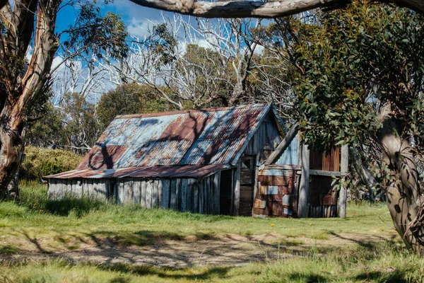 Avustralya 'da Falls Creek yakınlarında Wallace Hut