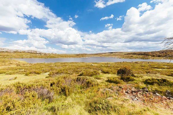 Summer Landscape at Rocky Lake near Falls Creek Australia — 스톡 사진