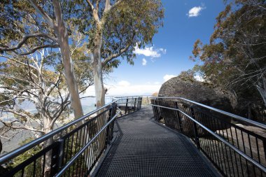 Victoria Avustralya 'da Buffalo Dağı Manzarası