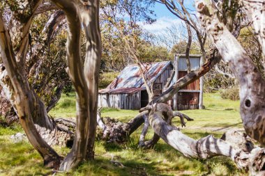 Avustralya 'da Falls Creek yakınlarında Wallace Hut
