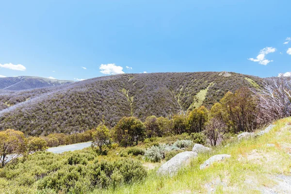 Falls Creek Village in Summer in Australia — ストック写真