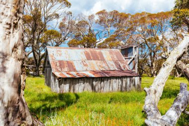 Avustralya 'da Falls Creek yakınlarında Wallace Hut