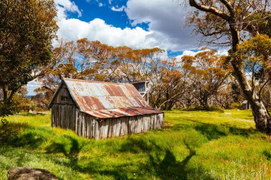 Avustralya 'da Falls Creek yakınlarında Wallace Hut