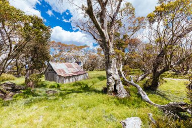 Avustralya 'da Falls Creek yakınlarında Wallace Hut