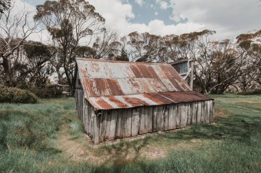 Avustralya 'da Falls Creek yakınlarında Wallace Hut