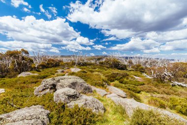 Avustralya 'da Falls Creek yakınlarında Wallace Hut
