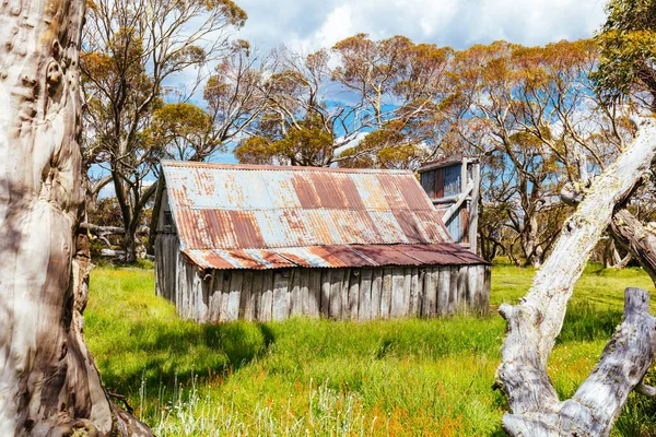 Wallace Hut near Falls Creek in Australia — Stock fotografie