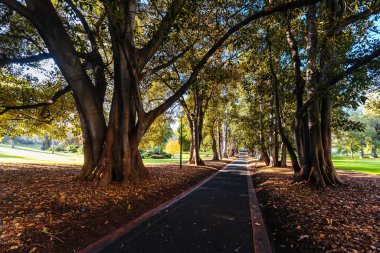 Doğu Melbourne 'daki Hazine Bahçeleri Victoria Avustralya