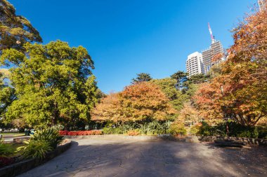 Doğu Melbourne 'daki Hazine Bahçeleri Victoria Avustralya