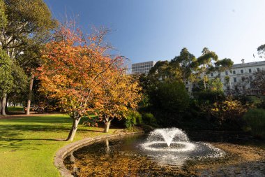 Doğu Melbourne 'daki Hazine Bahçeleri Victoria Avustralya