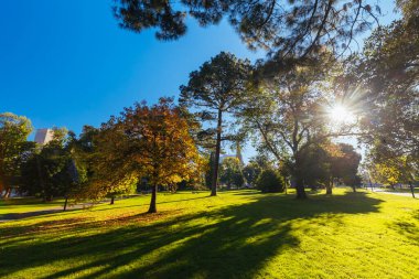 Doğu Melbourne 'deki Fitzroy Bahçeleri Victoria Avustralya