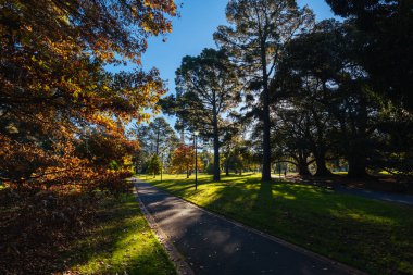 Doğu Melbourne 'deki Fitzroy Bahçeleri Victoria Avustralya