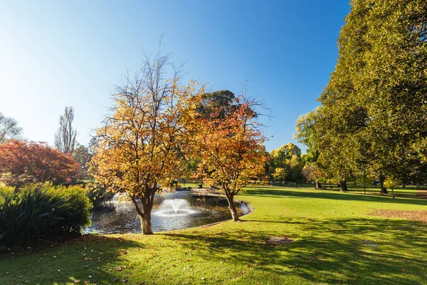 Treasury Gardens en el este de Melbourne Victoria Australia —  Fotos de Stock