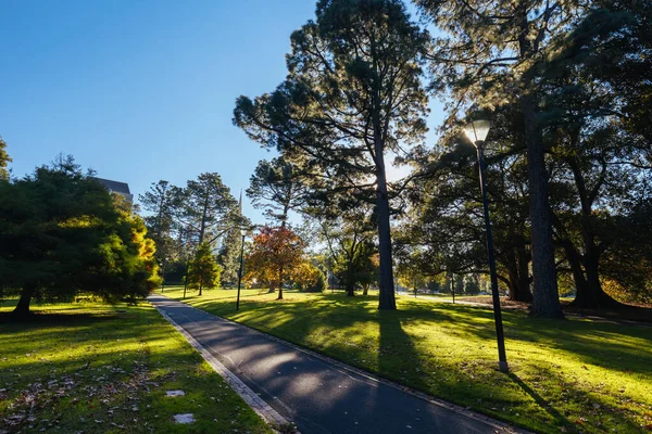 Fitzroy Gardens Kelet-Melbourne Victoria Ausztrália — Stock Fotó