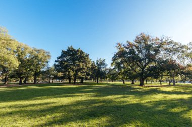 Clifton Hill Melbourne Avustralya 'daki Darling Gardens