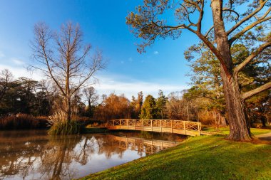 Malmsbury Botanik Bahçeleri sabahın erken saatlerinde Malmsbury, Victoria, Avustralya 'da soğuk bir kış gününde
