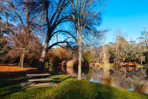 Malmsbury Botanic Gardens Mattina Presto Durante Una Fredda Giornata Invernale — Foto Stock