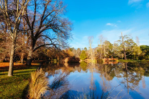 Malmsbury Botanic Gardens Frühmorgens Einem Kalten Wintertag Malmsbury Victoria Australien — Stockfoto