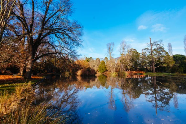Malmsbury Botanic Gardens Frühmorgens Einem Kalten Wintertag Malmsbury Victoria Australien — Stockfoto