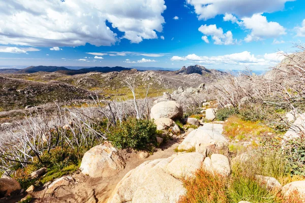 Views Horn Hut Picnic Area Buffalo Summers Afternoon Victorian Alps — Stockfoto