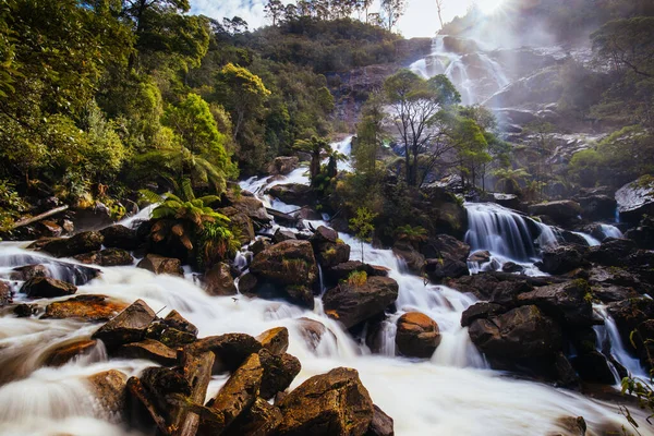 Iconic Popular Columba Falls Which One Highest Waterfalls Tasmania Warm — Stock Photo, Image