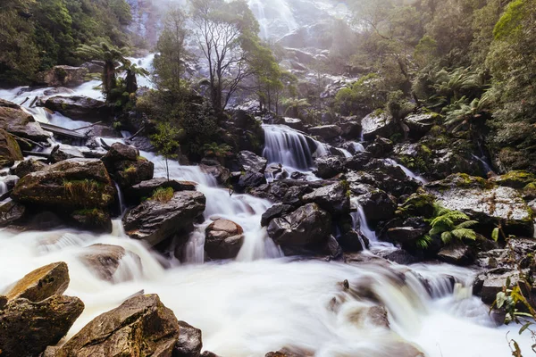 Εμβληματικό Και Δημοφιλές Columba Falls Που Είναι Ένας Από Τους — Φωτογραφία Αρχείου