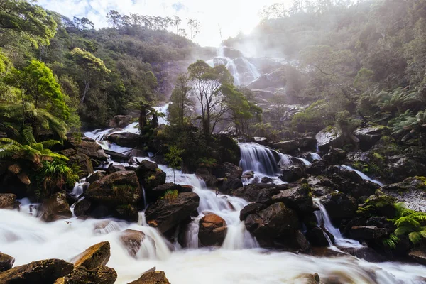 Iconic Popular Columba Falls Which One Highest Waterfalls Tasmania Warm — Stock Photo, Image