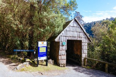Pyengana, Tazmanya, Avustralya 'da ılık bir bahar gününde Tazmanya' nın en yüksek şelalelerinden biri olan St. Columba Şelalesi 'ne giden patika.