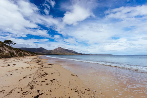 Iconic Hazards Beach Warm Spring Day West Side Freycinet Peninsula — Stock fotografie