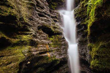Myrtle Gully Falls yakınlarındaki Wellington Dağı 'nın yamaçlarında yer alan güzel Secret Falls Hobart, Tazmanya, Avustralya' da ılık bir bahar günüdür.
