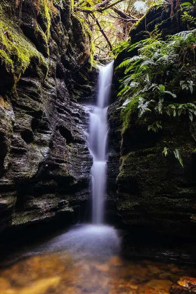 Gyönyörű Secret Falls Található Lejtőin Wellington Közelében Myrtle Gully Falls — Stock Fotó