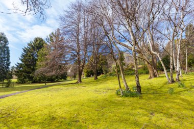 Cascade Gardens Halk Parkı Hobart, Tazmanya, Avustralya 'daki Wellington Dağı' nın yamaçlarındaki ikonik Cascade bira fabrikasının yanında.