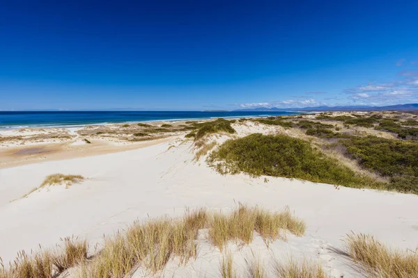 Popular Peron Dunes Com 4Wd Dirigindo Akaroa Perto Helens Tasmânia — Fotografia de Stock