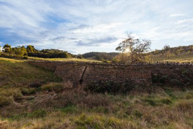 Ünlü Dikenli Köprü ve çevresindeki manzara mahkumlar tarafından 19. yüzyılın ortalarında Tazmanya, Avustralya 'da Swansea yakınlarında inşa edildi.