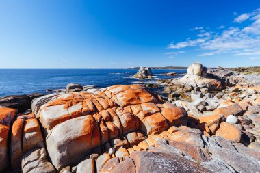 Avustralya 'nın Binalong Körfezi' ndeki Yangınlar Körfezi 'nde bulunan Point Nature Recreation Area' daki İskelet Körfezi 'nde Küçük Fil Körfezi Yürüyüşü Humbug.