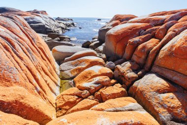 Avustralya 'nın Binalong Körfezi' ndeki Yangınlar Körfezi 'nde bulunan Point Nature Recreation Area' daki İskelet Körfezi 'nde Küçük Fil Körfezi Yürüyüşü Humbug.