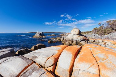 Avustralya 'nın Binalong Körfezi' ndeki Yangınlar Körfezi 'nde bulunan Point Nature Recreation Area' daki İskelet Körfezi 'nde Küçük Fil Körfezi Yürüyüşü Humbug.