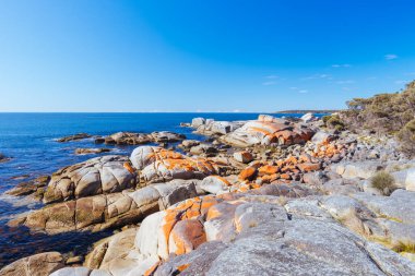 Lichen, Avustralya 'nın Binalong Körfezi' ndeki Yangınlar Körfezi 'ndeki Point of Nature Recreation Area' daki Skeleton Bay Walk Humbug 'daki kaya oluşumlarını araştırdı.