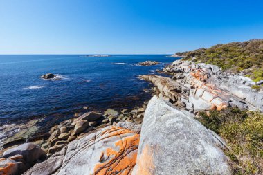 Lichen, Avustralya 'nın Binalong Körfezi' ndeki Yangınlar Körfezi 'ndeki Point of Nature Recreation Area' daki Skeleton Bay Walk Humbug 'daki kaya oluşumlarını araştırdı.
