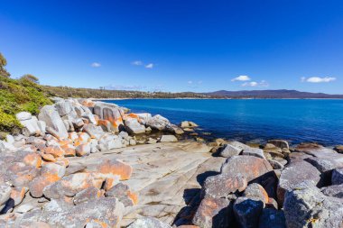 Lichen, Avustralya 'nın Binalong Körfezi' ndeki Yangınlar Körfezi 'ndeki Point of Nature Recreation Area' daki Skeleton Bay Walk Humbug 'daki kaya oluşumlarını araştırdı.